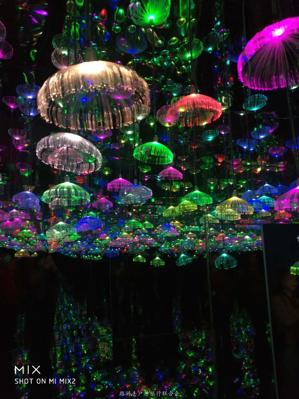 T6ipyyWidZ7CGgwImJm019hDISwG_gVuzq_KrRXip48EL1_aG9wf2EDJrM3O2_pw