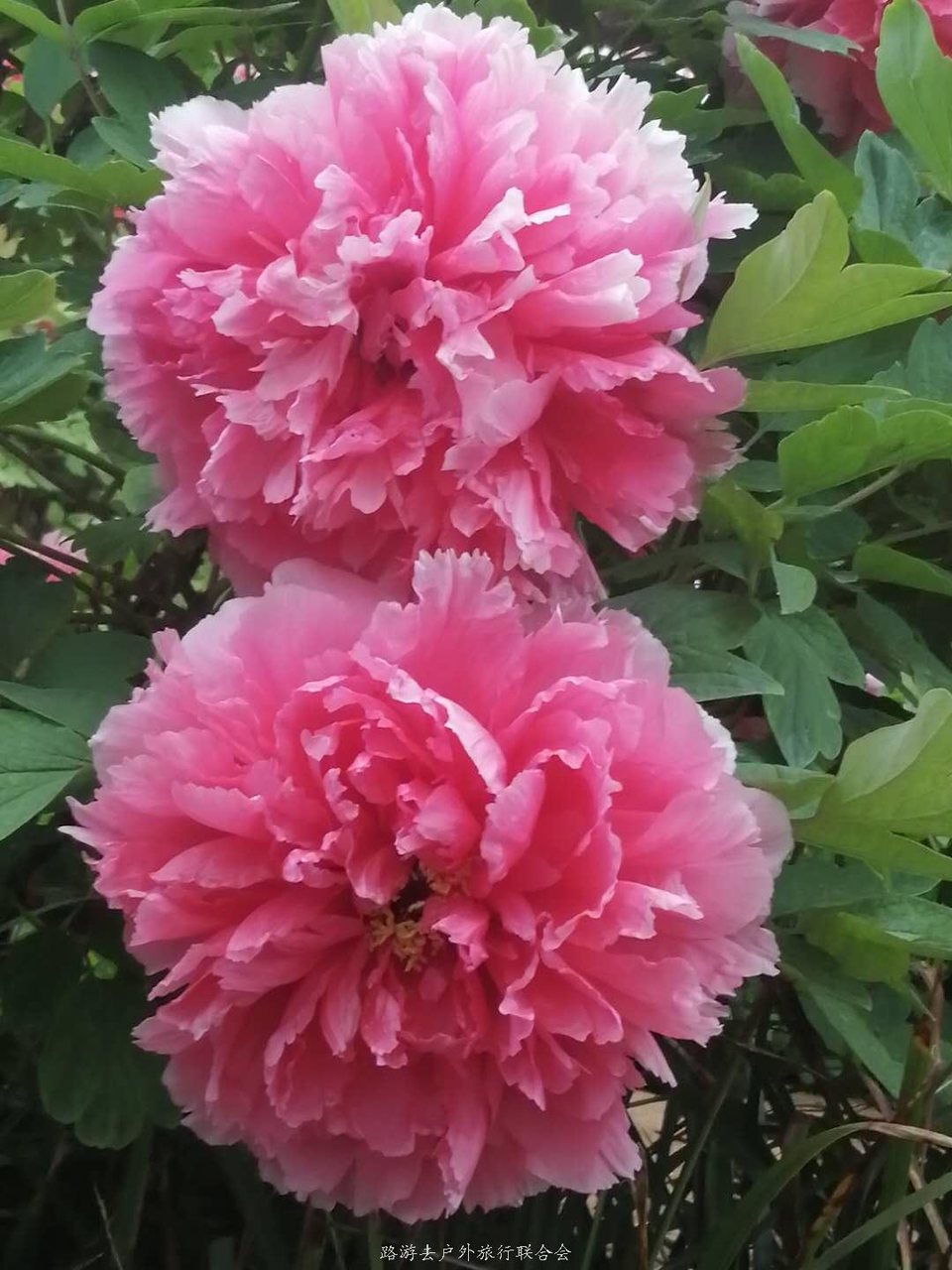 9qqRh2GqKlHth_E3_em84IJZzlSA1P8U5biLif3agNy36f4b5nhLG9PYAQ-YXrXA