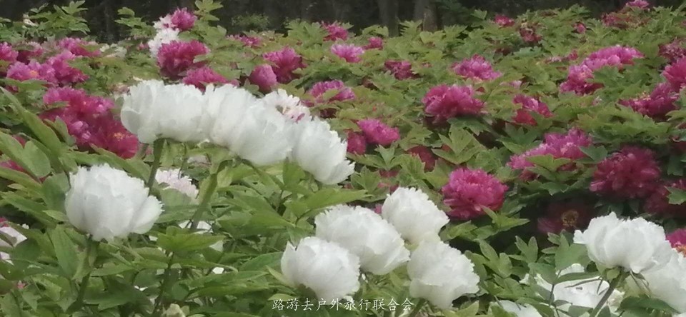 6kOC7jptESY1AYStrI_JTdIiVdtnR9UP7StfojV2sJGv5Bh7kv19CvDuSgl05f1J