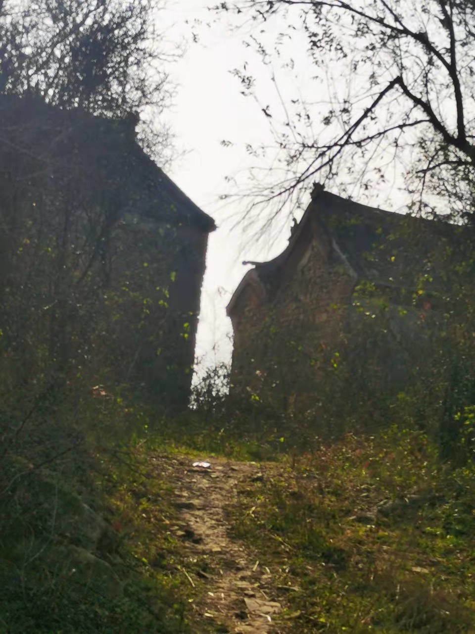 g3Y-CFn85hHpjGUooL3M2jIgSeyOJEepvPPI1ptrQdeUNqOo-N8qCnUP8RxtzwW4