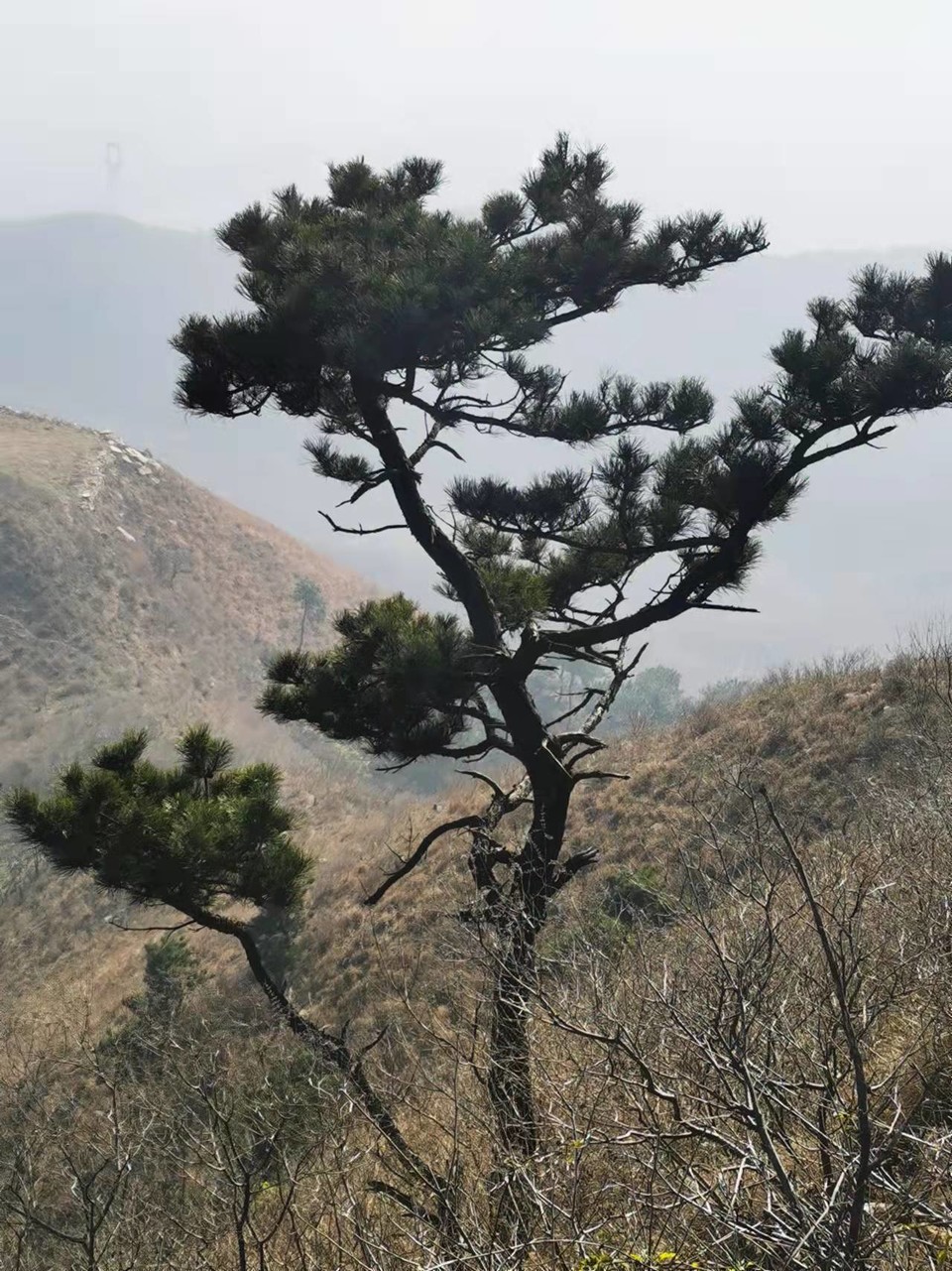 g3Y-CFn85hHpjGUooL3M2iR8IyA96zA51QbhnYW7h7VPSlUIgO_c01jd6f5taFXp