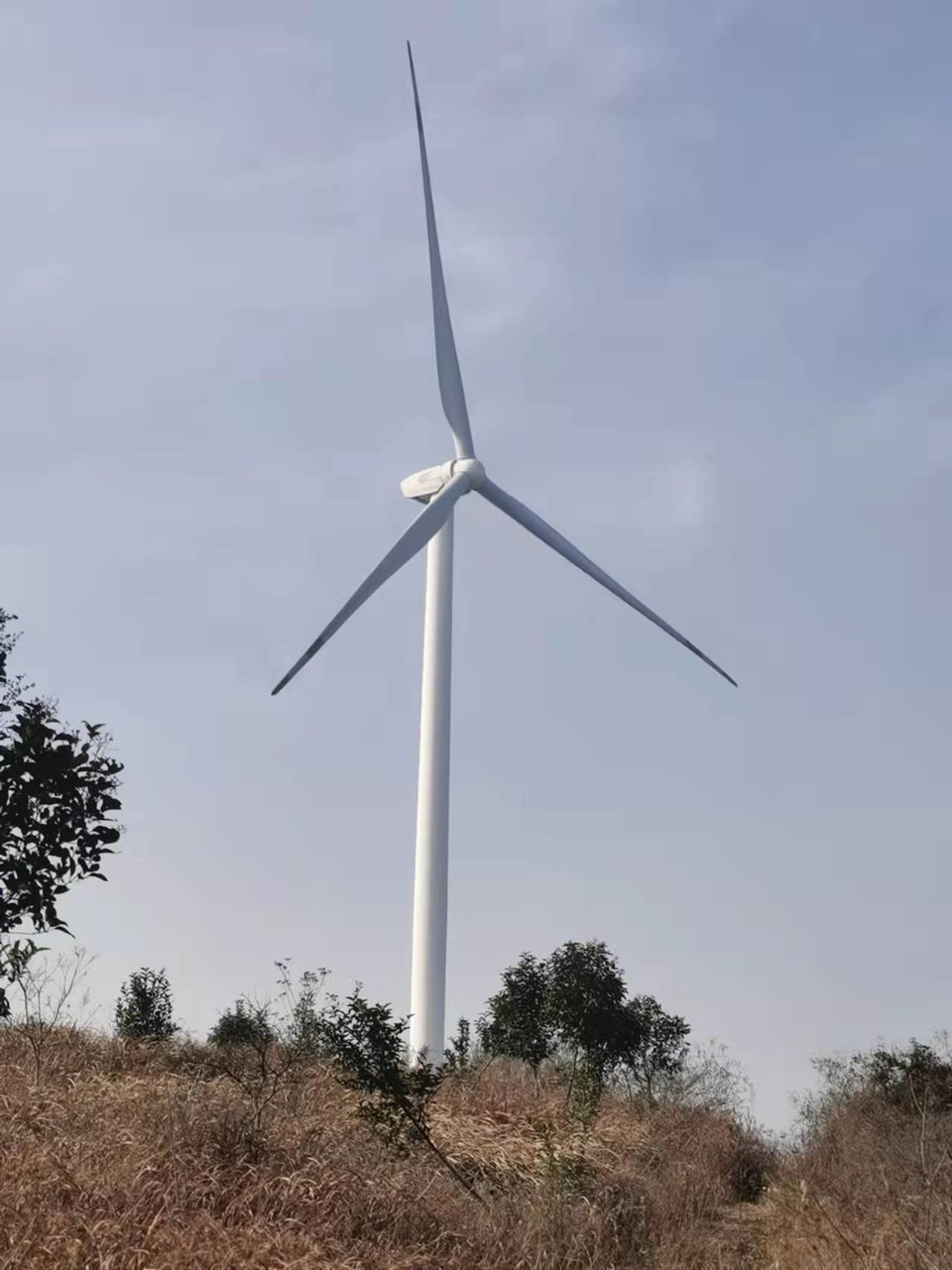 g3Y-CFn85hHpjGUooL3M2n1_UbIFqlJB6AICfxyaDwpIFhnqH5e7pmCBJ17I7U8p