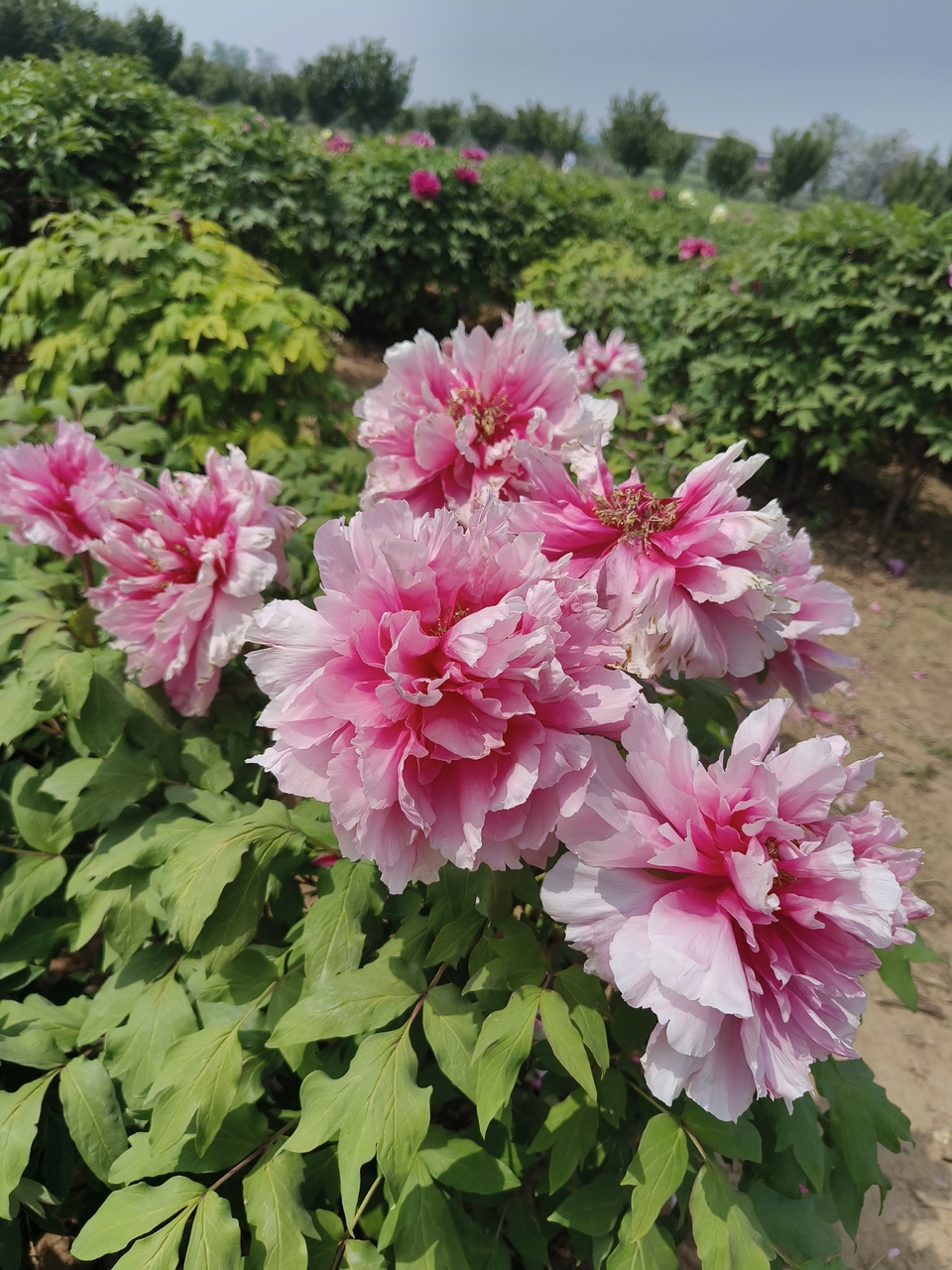 PwtLnojPY7tyKGOXK9lt_e4eCvSsVwUsjAkx-7Z3kw_E1T0Maga9XhVA0LDtX-Ns