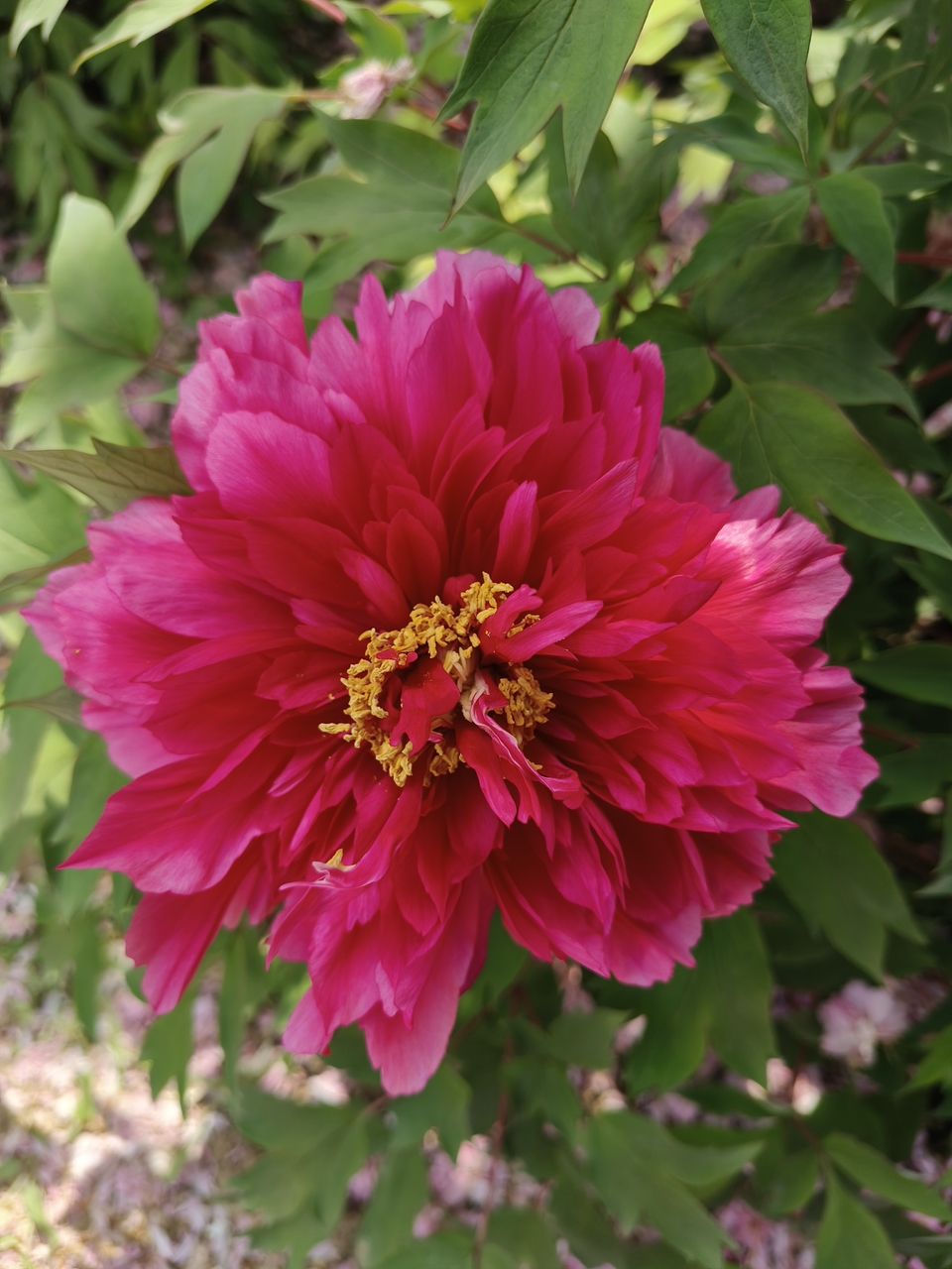 PwtLnojPY7tyKGOXK9lt_dsrDnrxNOqO3WEnoka03Rk2FawNw4qH_HSXGhznF9ax