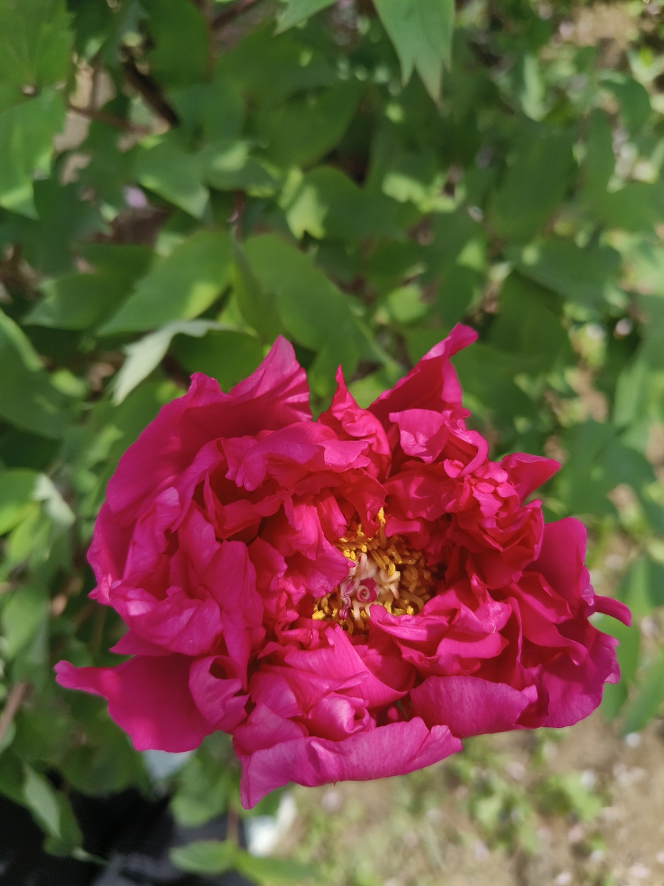 PwtLnojPY7tyKGOXK9lt_U-mbrTnUFrwt37dIhzjJb5ujvEG8Asx3lYquOszx7Sn