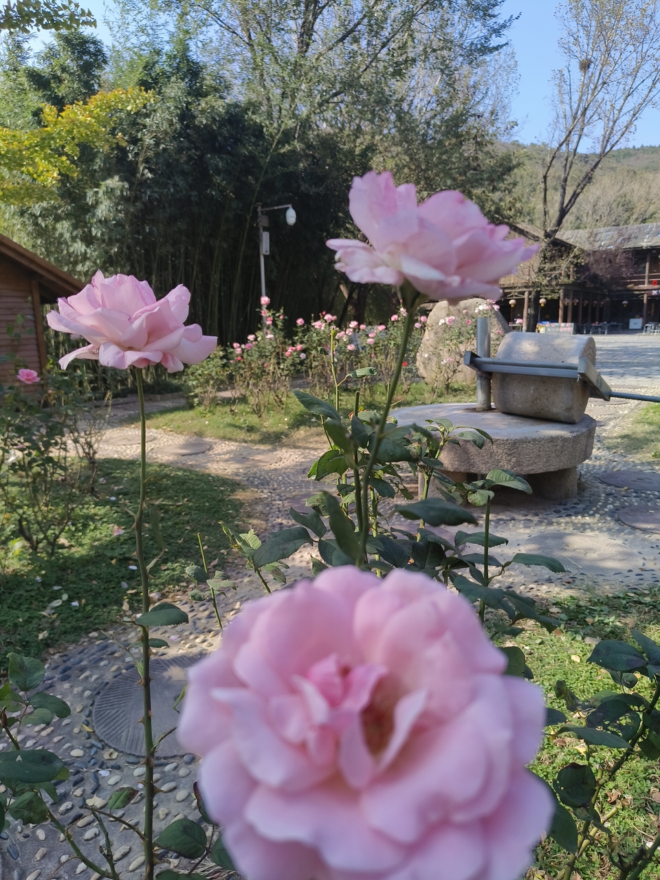 PwtLnojPY7tyKGOXK9lt_TDxGmECChurd5aNBNLLeNwFPCPz3j8u4wnOxATK5q8H