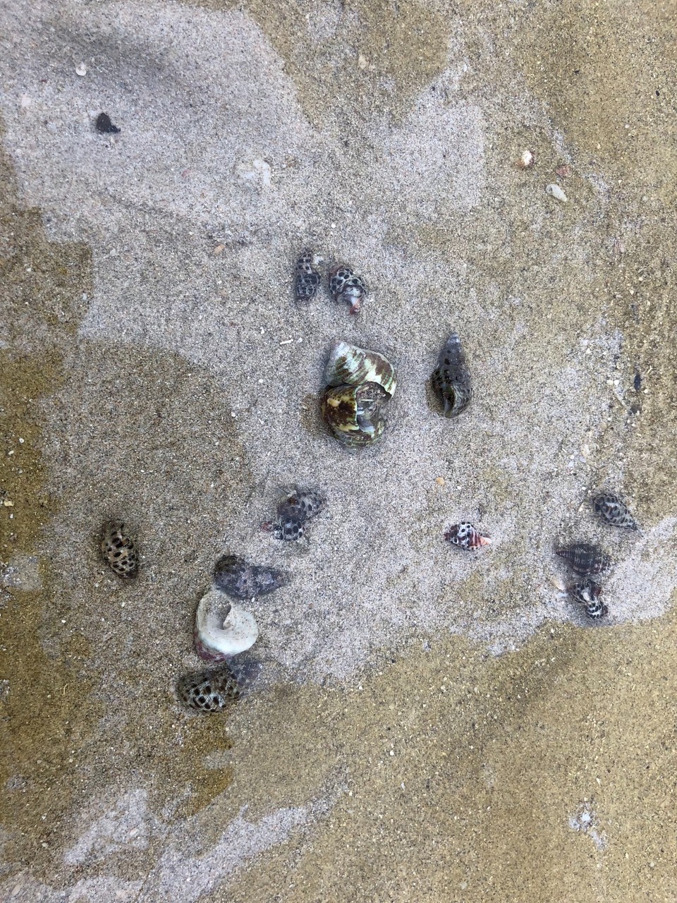 8184CFCC-90D8-4E09-BFA5-15C35CE0BAEC