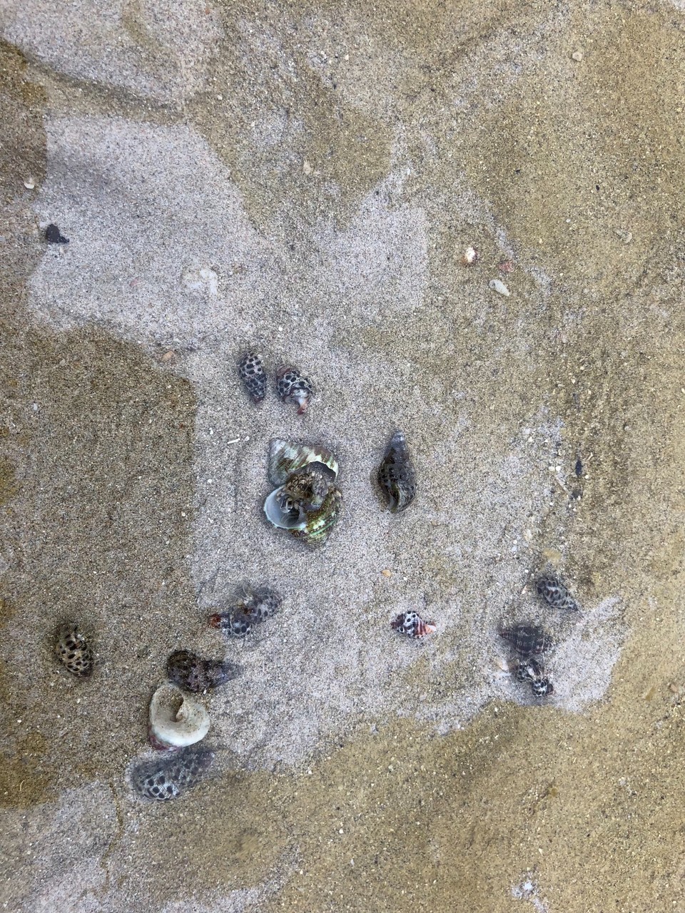 BB2C6797-41DE-43F5-8A81-653159A0FA9E