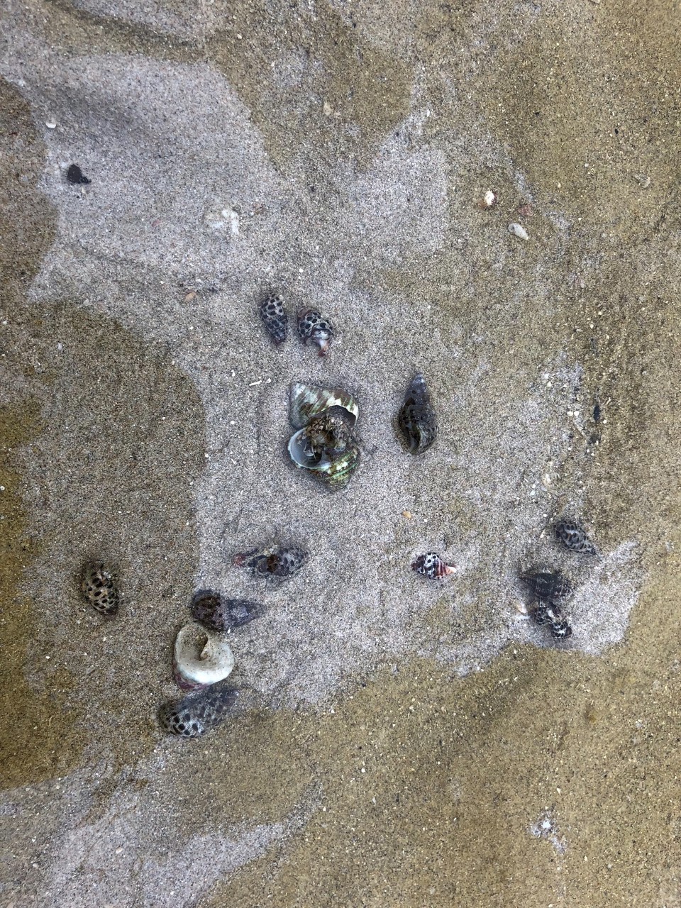 96BEDDAD-7D40-4BAE-8B4D-75F06C8955A5