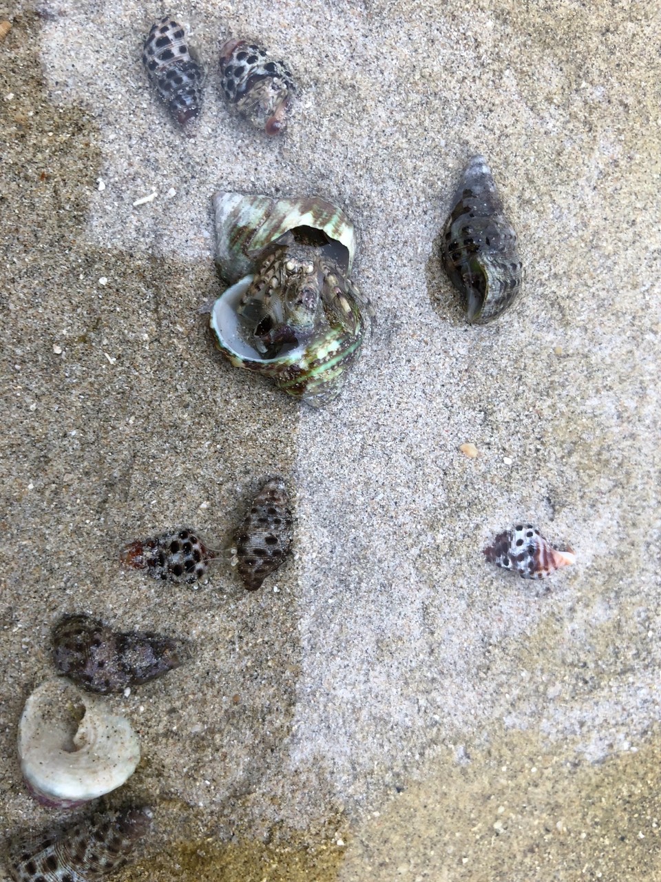 03314C0F-B5C7-4D42-8B4C-CCB63BA06CA1