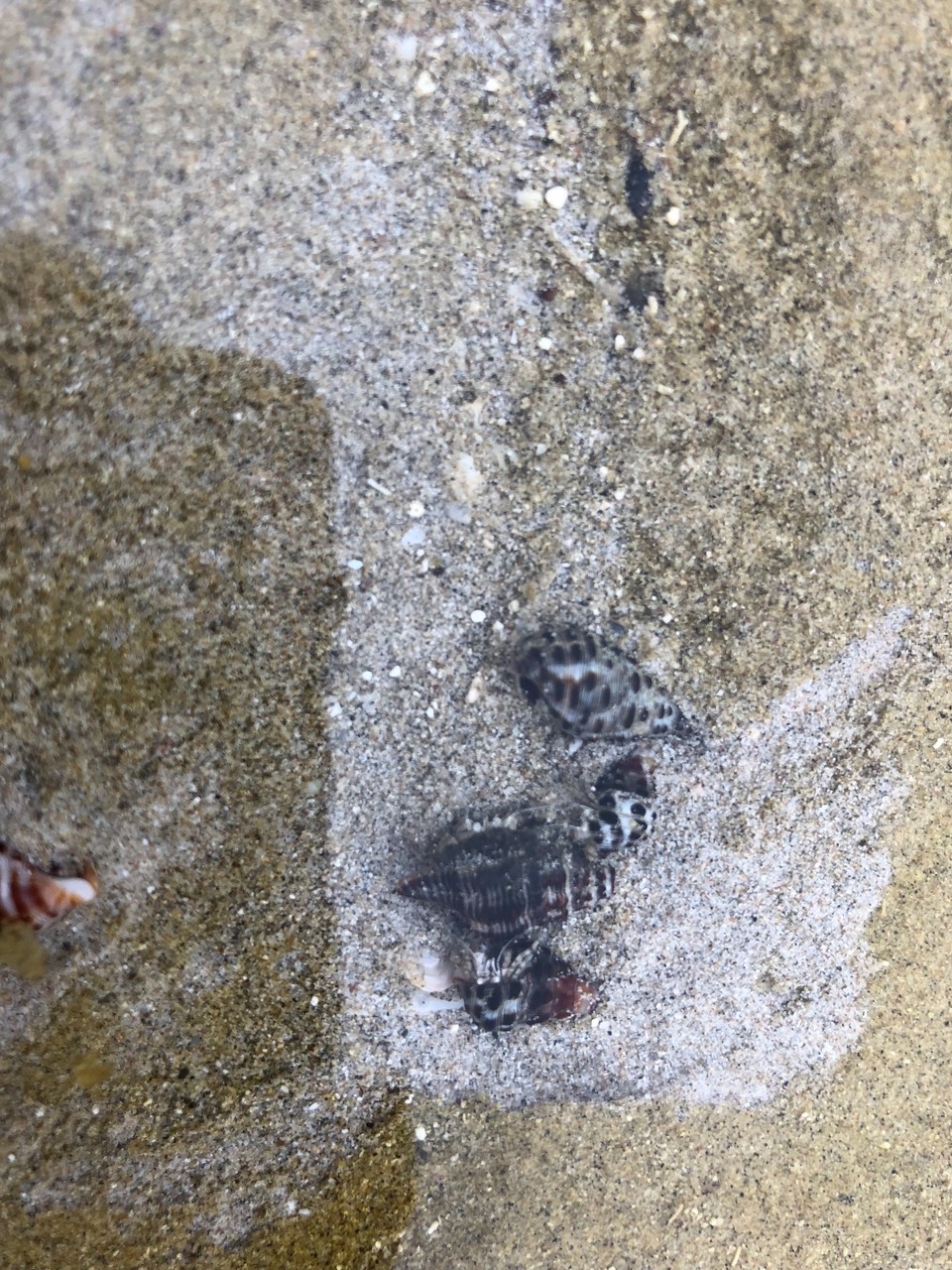 1C78D578-1FB0-46E4-9F2E-F74714EBB6B1