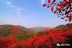 【多期特价】68元玩一天！人间仙境，桐柏福地——桐柏刘老庄红叶景区