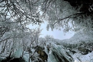  【特价79元】连续多期！冰挂！冰挂！祥龙谷看冰挂！赏冰瀑奇观，感受梦幻冰雪世界