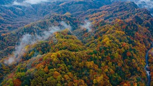 【赏秋系列】中国醉美红叶：四川光雾山、米仓山+石泉古城，汉中古汉台，四天赏秋，户外网全程考察原创设计