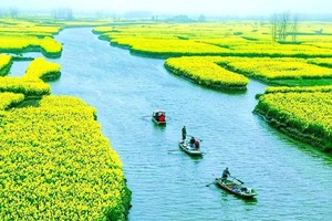 【春季赏花4天】烟花三月下扬州、兴化千垛油菜花、李中水上森林、扬州瘦西湖、个园、东关街纯玩之旅