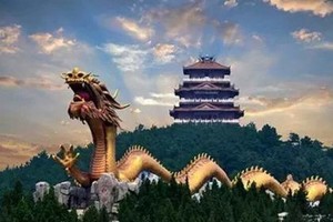 【远景特价】重磅！宋岗码头看海鸥，丹江大观苑免门票！再送50元旅行券！每周三、周六前往