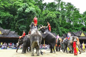 【远景定制】西双版纳.中科植物园.野象谷.勐泐大佛寺.曼掌村手工体验纯玩高品双飞 6 日游