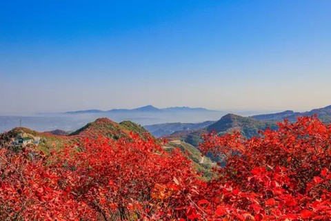 【赏秋两天】巩义长寿山红叶，康百万庄园，巩义北宋皇陵七帝八陵，常香玉故居，纯玩无购物