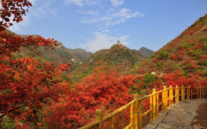 [赏秋系列】醉美金秋，太极峡赏红叶+丹江蜜桔采摘一日游，10斤蜜橘带回家！！！