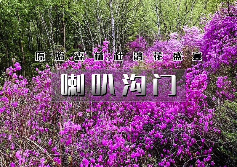 ▌▌印象头图.jpg