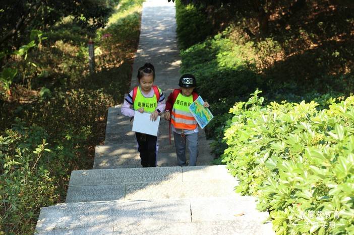 IMG_6597.JPG IMG_6597.JPG