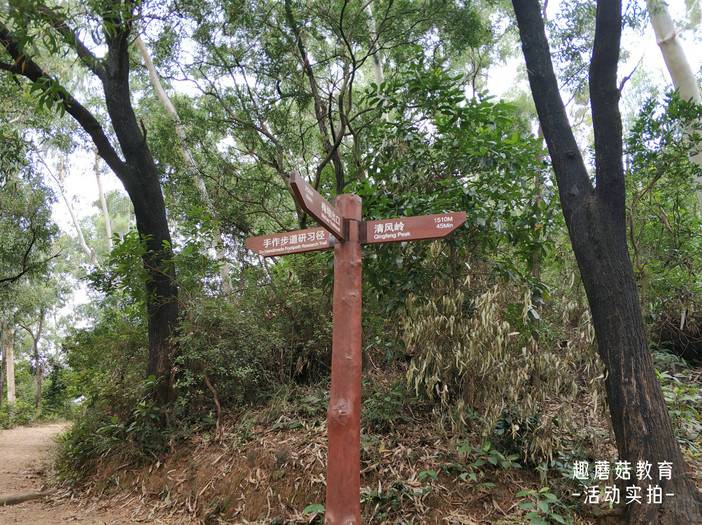 IMG_20211023_094756.jpg IMG_20211023_094756.jpg