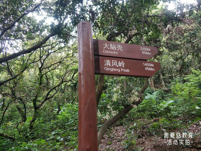 IMG_20210829_093242.jpg IMG_20210829_093242.jpg