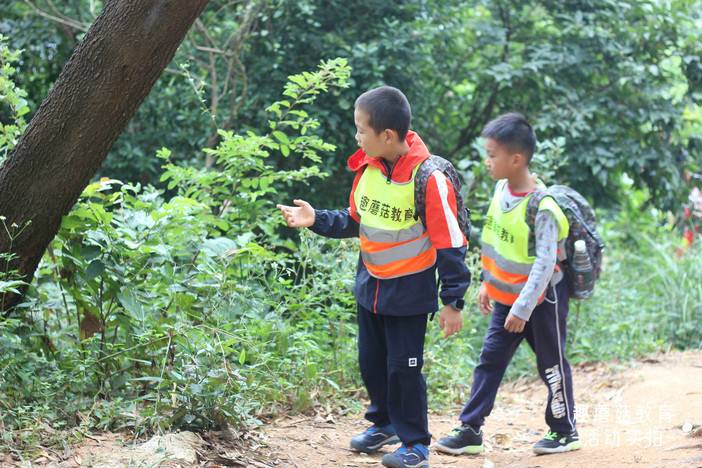 IMG_8775.JPG IMG_8775.JPG