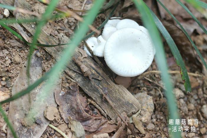 IMG_8837.JPG IMG_8837.JPG