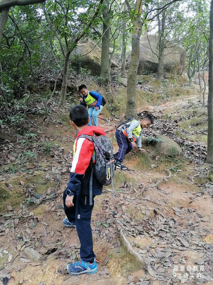 IMG_20211023_131325.jpg IMG_20211023_131325.jpg