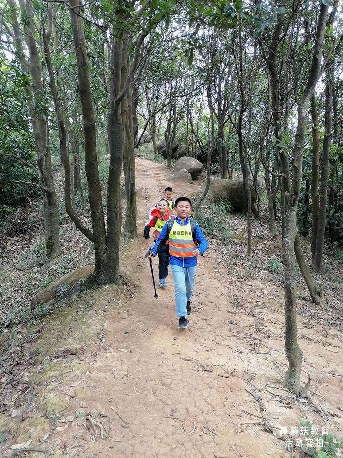 IMG_20211023_131955.jpg IMG_20211023_131955.jpg