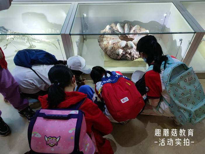 IMG_20211212_141723.jpg IMG_20211212_141723.jpg