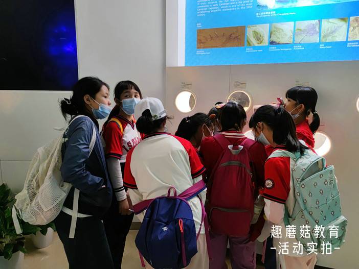 IMG_20211212_142426.jpg IMG_20211212_142426.jpg