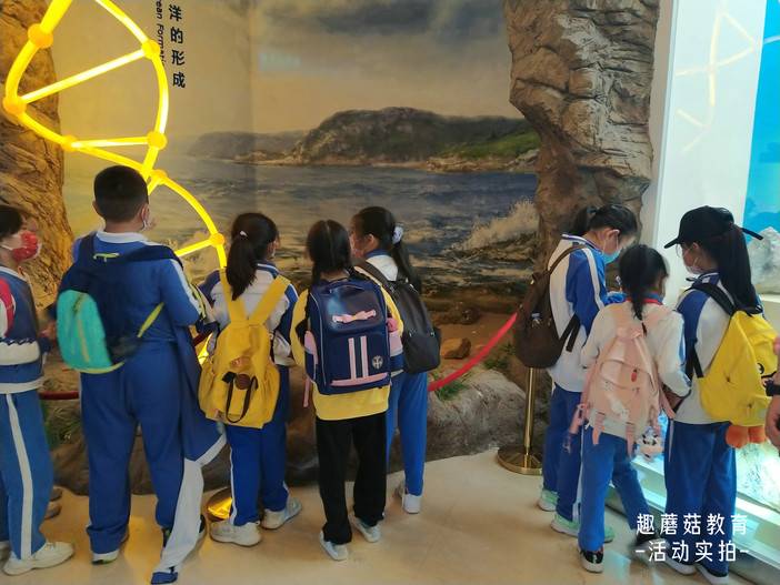 IMG_20220102_134222.jpg IMG_20220102_134222.jpg