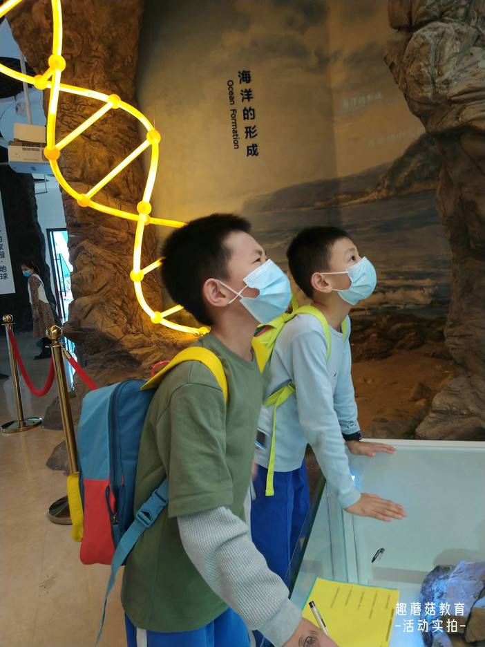 IMG_20220102_134713.jpg IMG_20220102_134713.jpg