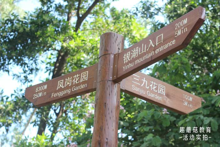 IMG_6990.JPG IMG_6990.JPG