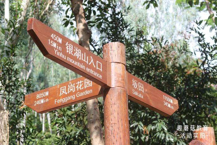 IMG_6999.JPG IMG_6999.JPG