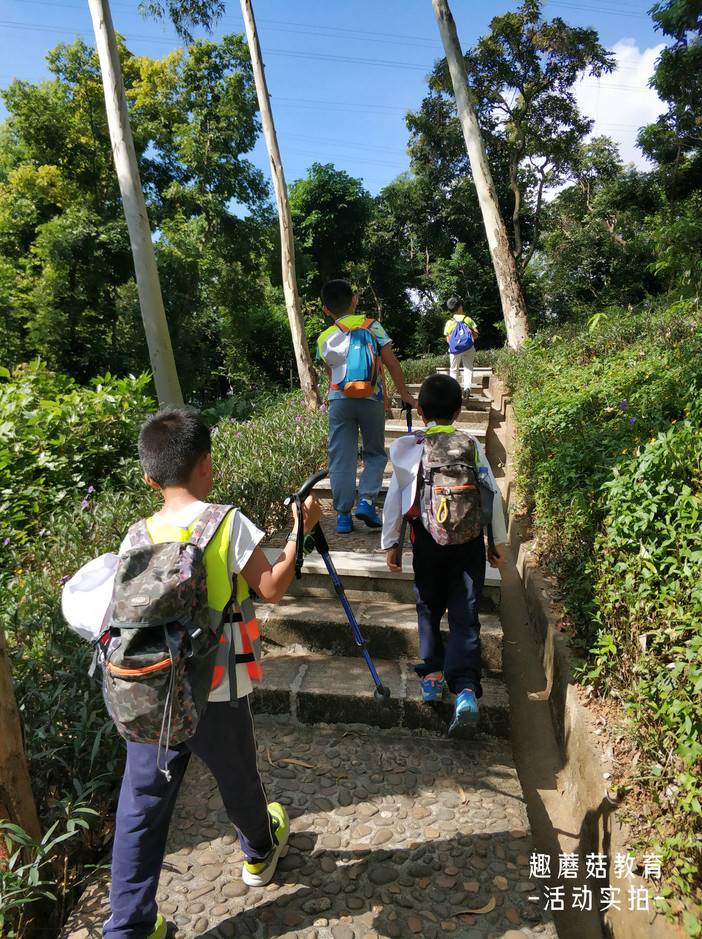 IMG_20211106_102447.jpg IMG_20211106_102447.jpg