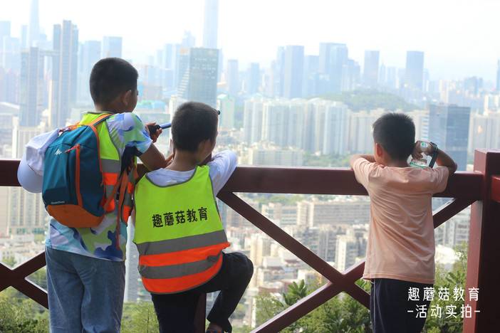 IMG_7010.JPG IMG_7010.JPG