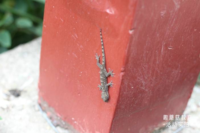 IMG_7031.JPG IMG_7031.JPG