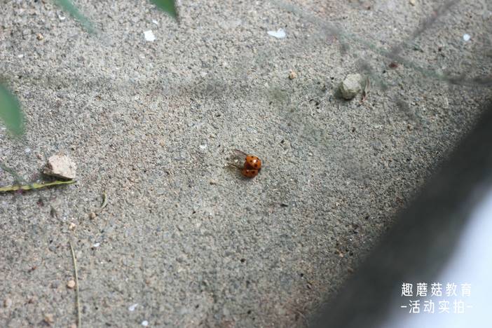 IMG_7033.JPG IMG_7033.JPG