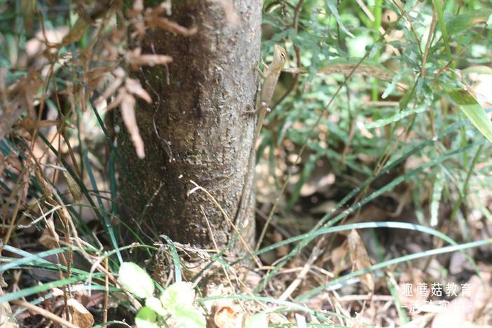 IMG_7039.JPG IMG_7039.JPG