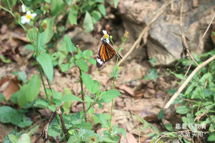 IMG_7098.JPG IMG_7098.JPG