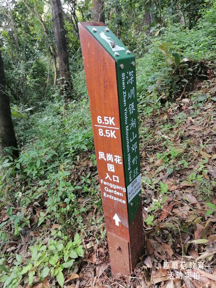 IMG_20211106_115141.jpg IMG_20211106_115141.jpg