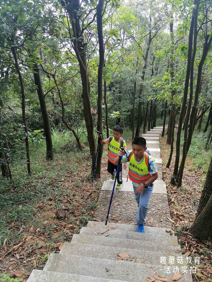 IMG_20211106_115848.jpg IMG_20211106_115848.jpg