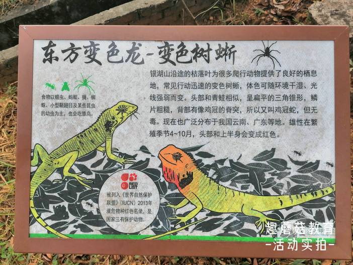 IMG_20211106_121623.jpg IMG_20211106_121623.jpg