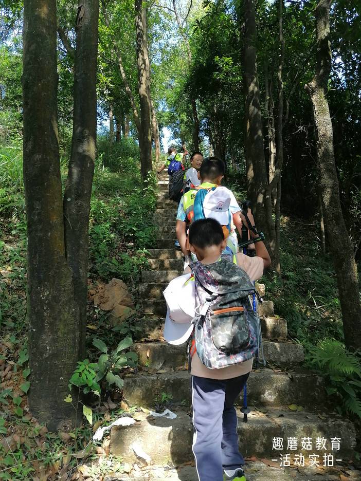 IMG_20211106_132835.jpg IMG_20211106_132835.jpg