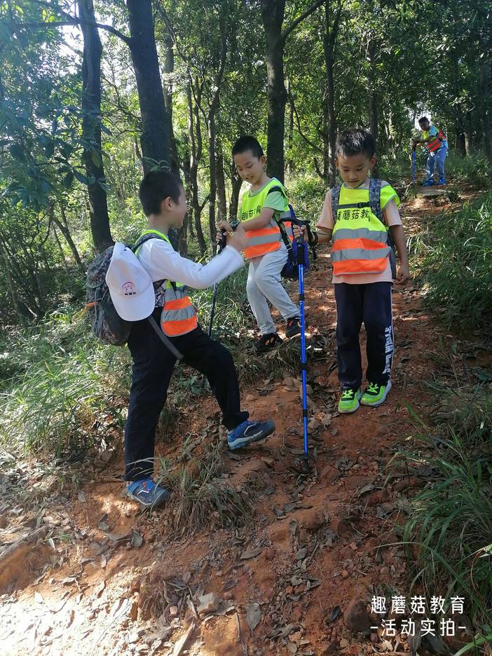 IMG_20211106_135708.jpg IMG_20211106_135708.jpg