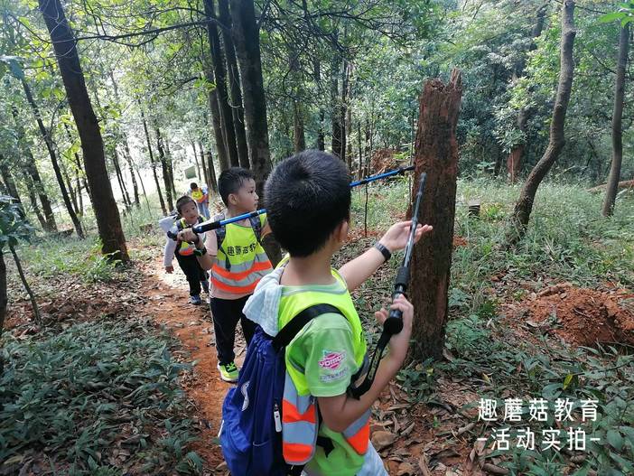 IMG_20211106_134533.jpg IMG_20211106_134533.jpg