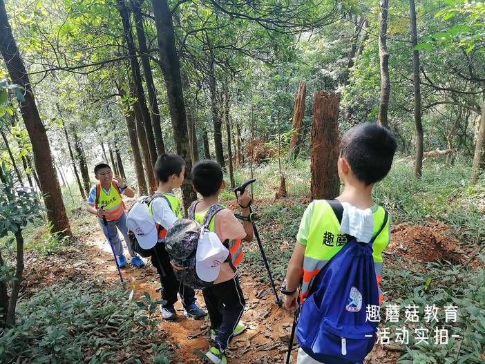 IMG_20211106_134555.jpg IMG_20211106_134555.jpg